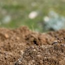 MOM’S GARDEN 이미지