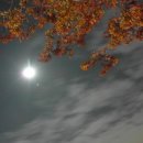 달밤 이미지