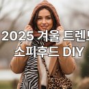 소피마리 | 따뜻함과 개성을 동시에! 소피후드 DIY와 애니멀 프린트로 완성하는 2025 겨울 패션