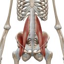 휘트니스파크 이미지