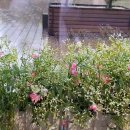 현대로템주식회사부속의원 이미지