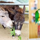 꿈을 키우는 도시 이미지