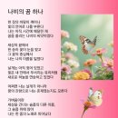 나비의 꿈 이미지