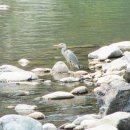 지리산추성민박 | (2013,05,23)1차 지리산 둘레길 2박3일(인월~수철)1~2사진
