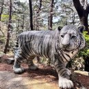 신선대산복로 이미지