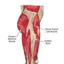 OK정형외과 이미지