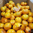 신효월라봉영농조합법인 이미지