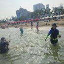 CU 완도중앙점 | 울산 진하해수욕장 해수욕(+해파리) 후기, 개장 기간, 주차, 파라솔, 샤워장, 화장실, 수상 레저...