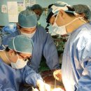 동산남성 이미지