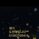 다모토리 이미지