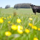 소격리농장 이미지