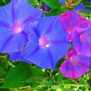 머믄자리 이미지