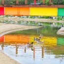 추암농장 이미지