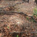 옥현농장 이미지