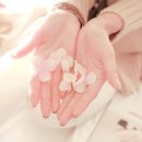 좋은세상 이미지