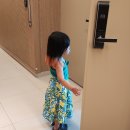 어반브라운행담 이미지