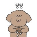 꼬망이펫샵