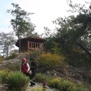 구절초가는길 이미지