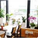 강릉어가네 이미지