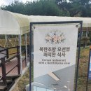 대룡 이미지