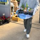 중앙농장 | 전주 근교 완주 중앙식물원 식물농장 봄꽃 구경하러 간 후기