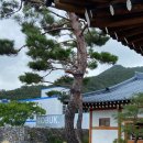(주)오감디자인