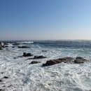 제비호식당 이미지