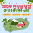 만장굴 | 제주도 만장굴 탐험: 신비로운 용암 동굴 속으로