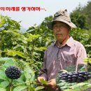 덕산농장 이미지