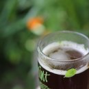 치유의 바람 이미지