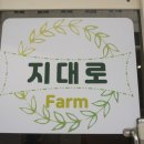 지대로팜