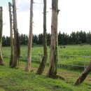 현호목장 이미지