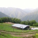 덕풍 2농장 이미지