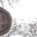달보드레하다 이미지