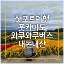 이동1통 | &lt;일본/삿포로&gt;여행 비에이 후라노 당일 버스투어-와쿠와쿠 내돈내산 후기