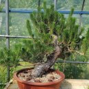 해송2로 이미지