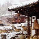 윤스테이 이미지