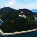 통영터널로가로수 이미지