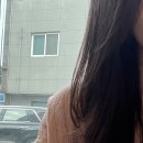카리노헤어