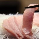 권대식의 참치회방꾼 이미지