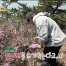 아이피앤디 이미지