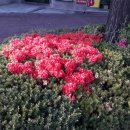 소구월사거리 이미지