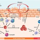 힐스타동물병원 이미지
