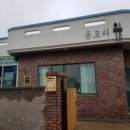 진하반점 이미지