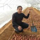 서해5농장 이미지