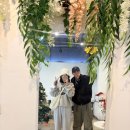 빵굽는제빵소 - 12798 | 빵굽는제빵소