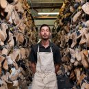 엔에스케이 (NSK) 이미지