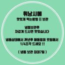 마카오박 | 속초 마카오박 에그타르트 후기