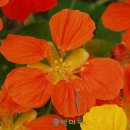 수정마루 이미지