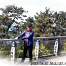 서촌초교 Daum카페